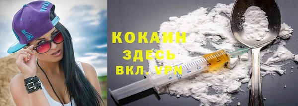 стаф Бородино