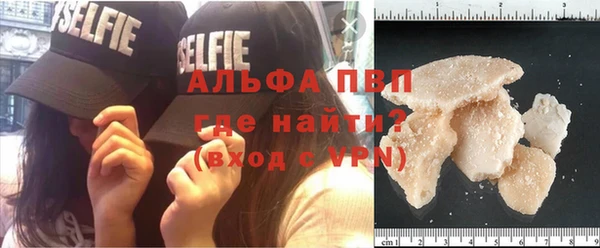 прущие грибы Бугульма