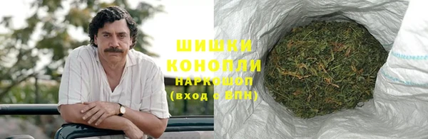 стаф Бородино