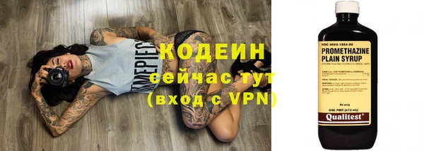 прущие грибы Бугульма