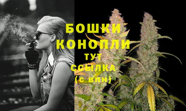 стаф Бородино