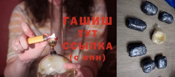 стаф Бородино