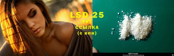 прущие грибы Бугульма