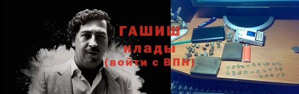 прущие грибы Бугульма