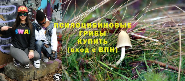 стаф Бородино