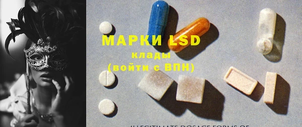 прущие грибы Бугульма