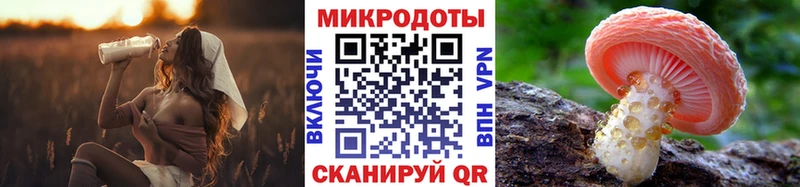 Купить  Гатчина  Галлюциногенные грибы Psilocybine cubensis 