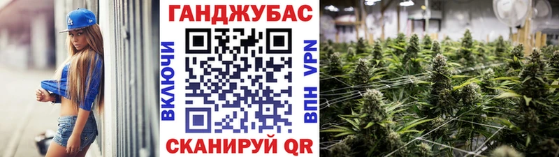 Купить закладки  Гатчина  Конопля семена 